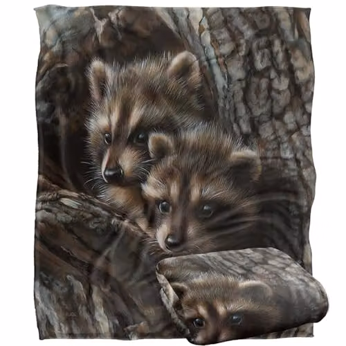 JQ Licensing Two Raccoons Silky Touch Super Soft Fleece Throw Blanket, White, W/D/H: 152 x 127 cm – 5