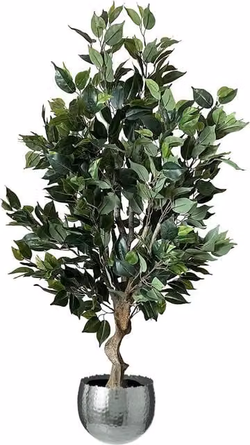 Premium Artificial Ficus Twist Tree in Silver and Green with Metal Stand