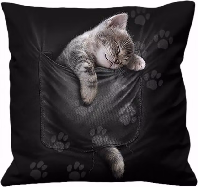 Kingsbury Gifts Pocket Kitten Square Cushion, Black, W/D/H: 40 x 40 x 40 cm