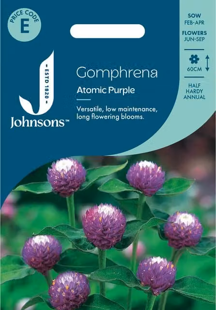 Johnsons Seeds Gomphrena Atomic Purple Flower Seeds