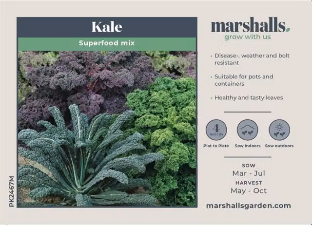 Marshalls Garden Kale F1 Multi-coloured Mix Vegetable Seeds, 30 Seeds, Green