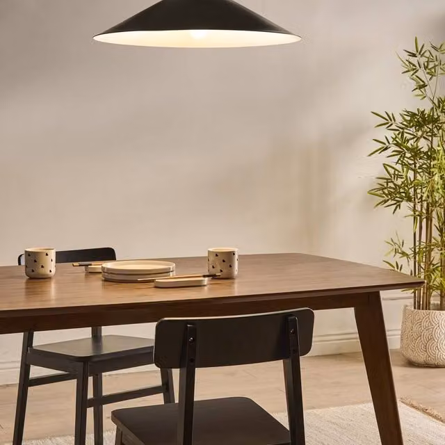 Wyld and Coco UFO Black Metal Mid-Century Pendant Lamp