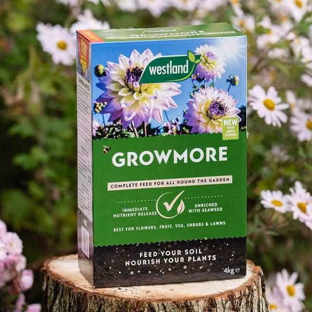 Westland Growmore Fertiliser for Ornamental and Vegetable Gardens, 8 kg