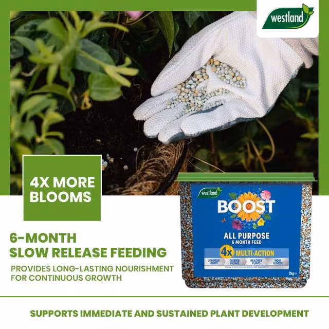 Westland Slow Release Granulate Plant Food for Indoor Plants, Vegetable Gardens and Ornamental Gardens, 2 kg