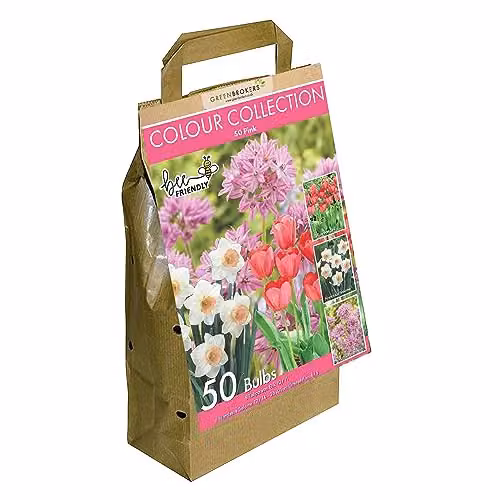GreenBrokers Colour Collection Pink Spring Flower Bulbs, 50 g – 1