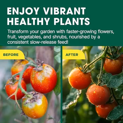 Doff Slow Release Multi-Purpose Plant Food, 1 kg – 3