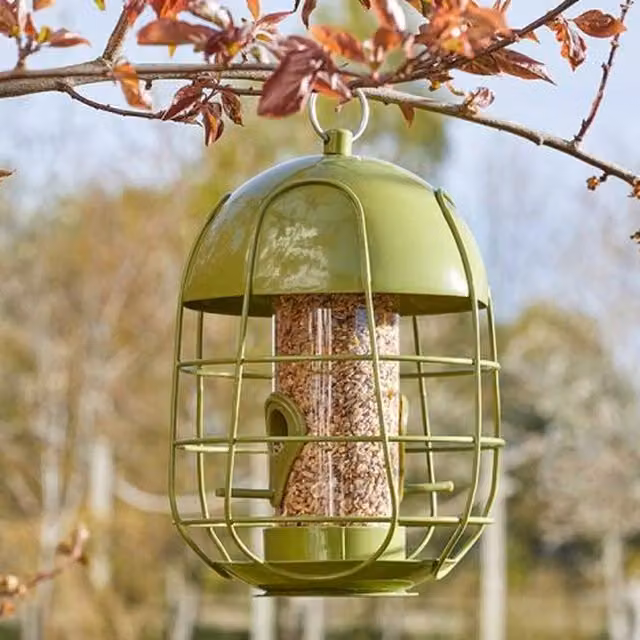 Garden Mile Acorn Squirrel Proof Seed Feeder in Green