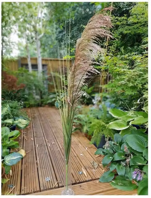KDMD Brown Artificial Pampas Spray, 112 cm Height
