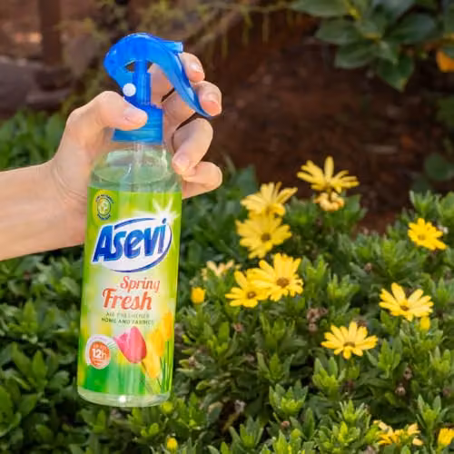 Asevi Spring Fresh Air Freshener Spray, 400ml, Green and Multicolour – 2