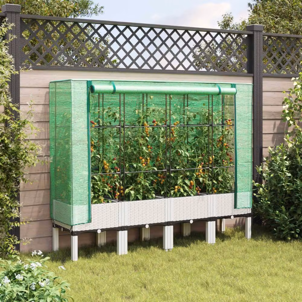 Berkfield Home Raised Bed with Greenhouse Cover in White Rattan Look, W/D/H: 160 x 40 x 140 cm – 2