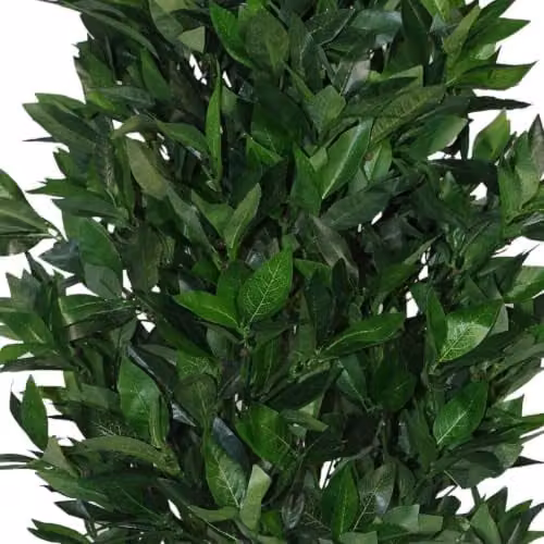 Leaf Design UK Extra Large Artificial Topiary Bay Tree Pyramid in Green with Black Plastic Pot, Height: 120 cm – 3