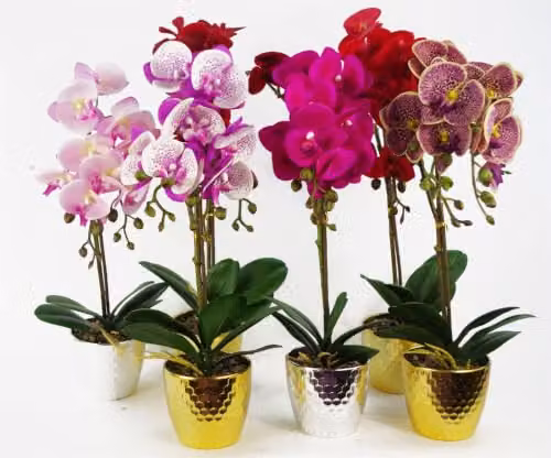Leaf Design UK Red Leopard Phalaenopsis Artificial Orchid in a Gold Pot, Height: 50 cm – 4