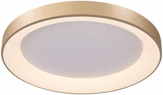 Netlighting Niseko Ring LED Ceiling Light, Gold/Brass, Diameter: 65 cm, 48W, 3000K, 3900lm