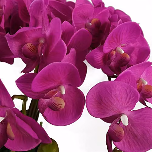 Leaf Design UK Potted Artificial Orchid Flower Display in Pink and Black, Height: 85 cm – 3
