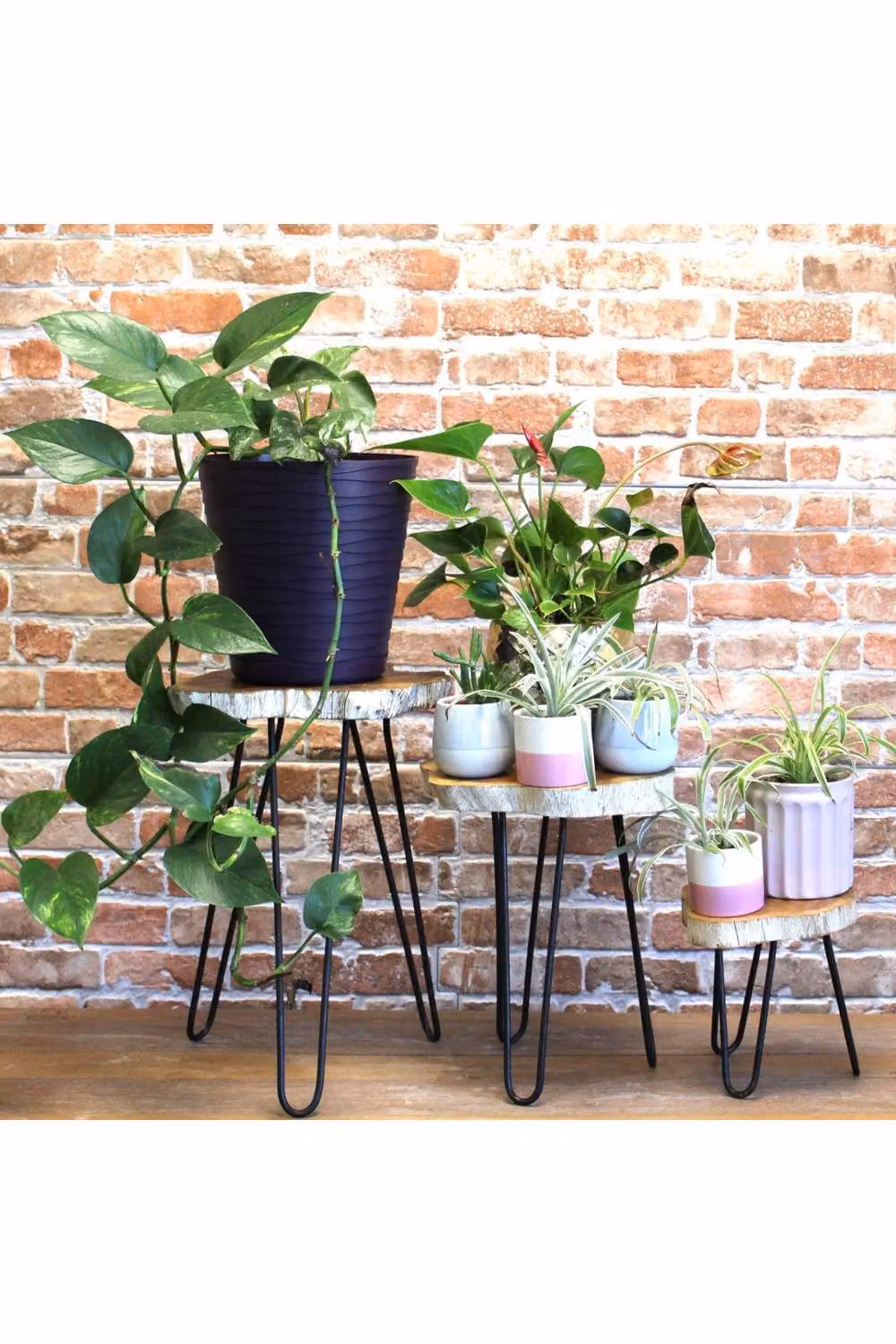 KDMD Set of 3 Brown Wooden Plant Stands with Black Metal Hairpin Legs – 2