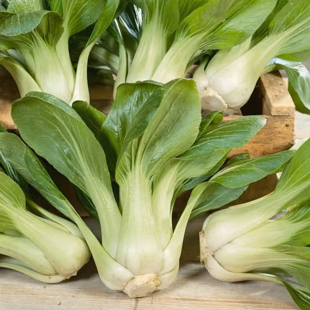 Unwins Canton White Pak Choi Vegetable Seeds