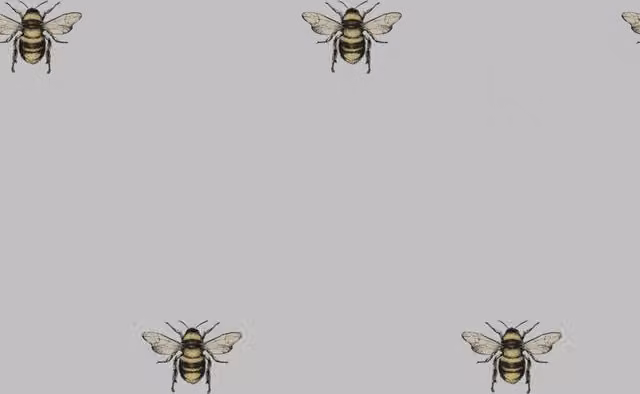 I Love Wallpaper Luxe Bee Wallpaper in Grey