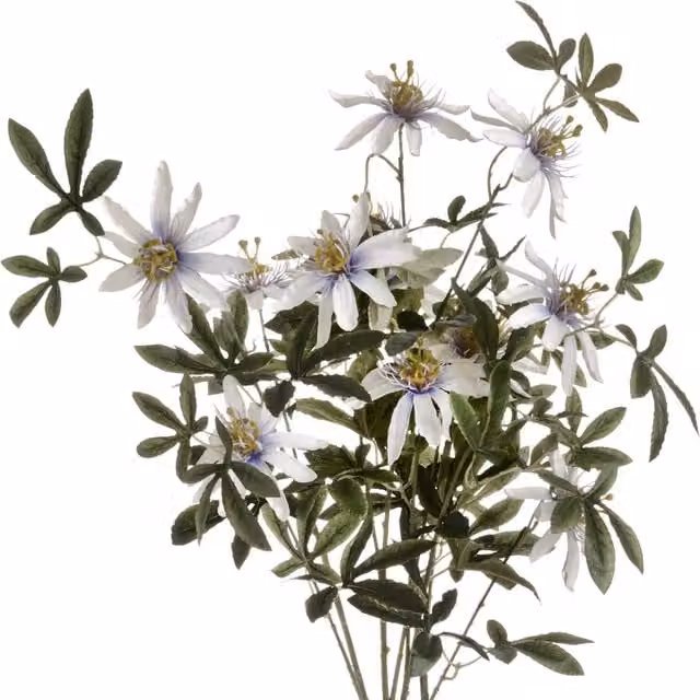 KDMK Passion Flower Floral Spray in White