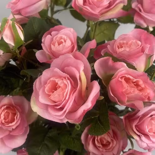 Botanik UK Pink Rose Artificial Flowering Tabletop Tree H 60 cm x W 30 cm x D 30 cm – 3