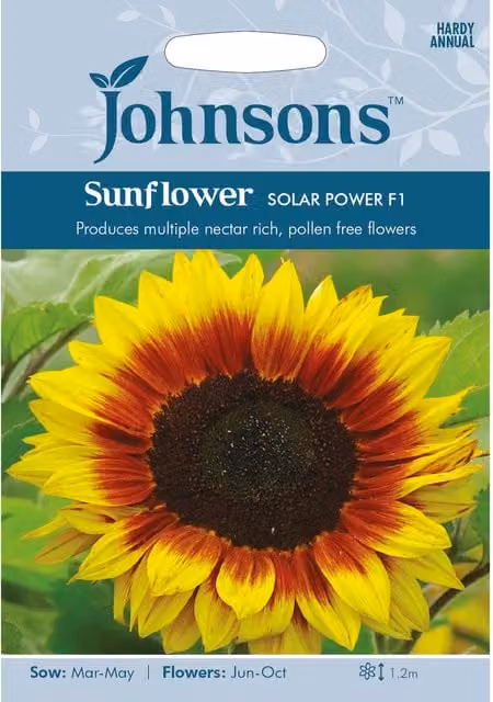Johnsons Solar Power F1 Yellow Sunflower Seeds