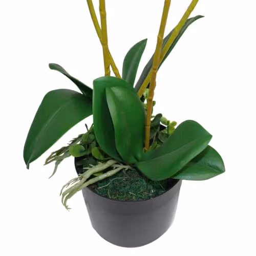 Leaf Design UK Pink Realistic Artificial Orchid Flower Display in Pot, Height: 60 cm – 4