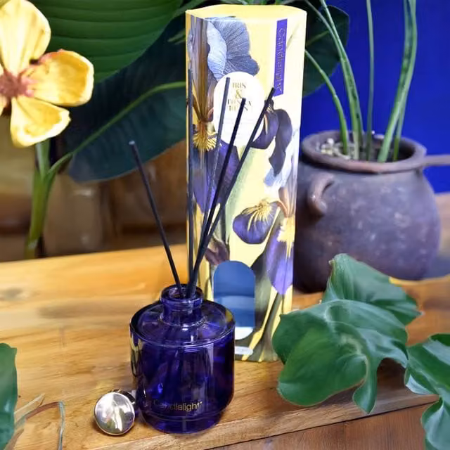 Madison & Mayfair Iris & Tonka Bean Reed Diffuser in Purple and Black with Floral and Gourmand Scents