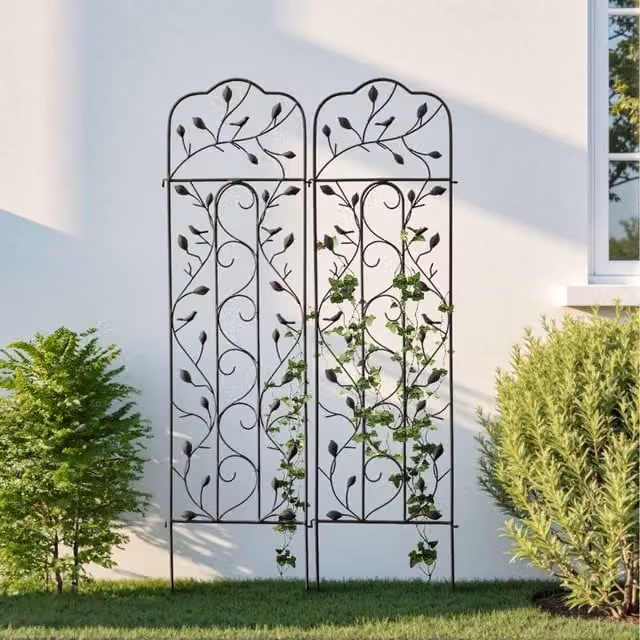 Lifeideas Set of 2 Black Metal Garden Trellis Supports for Climbing Plants, Height: 155.5 cm