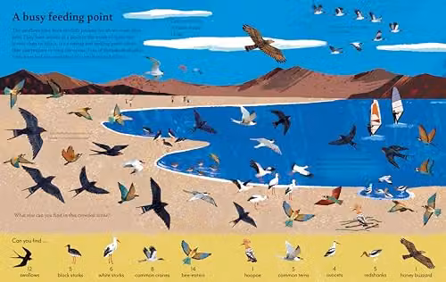 RSPB Birds Eye Spy by Bloomsbury Paper Book