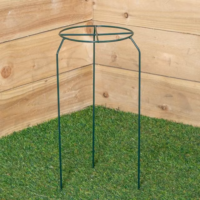 Tom Chambers Urban Metal Herbaceous Garden Plant Support in Dark Green, W/D/H: 20 x 20 x 40 cm