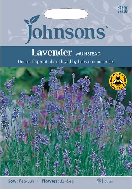 Johnsons Munstead Lavender Purple Flower Seeds