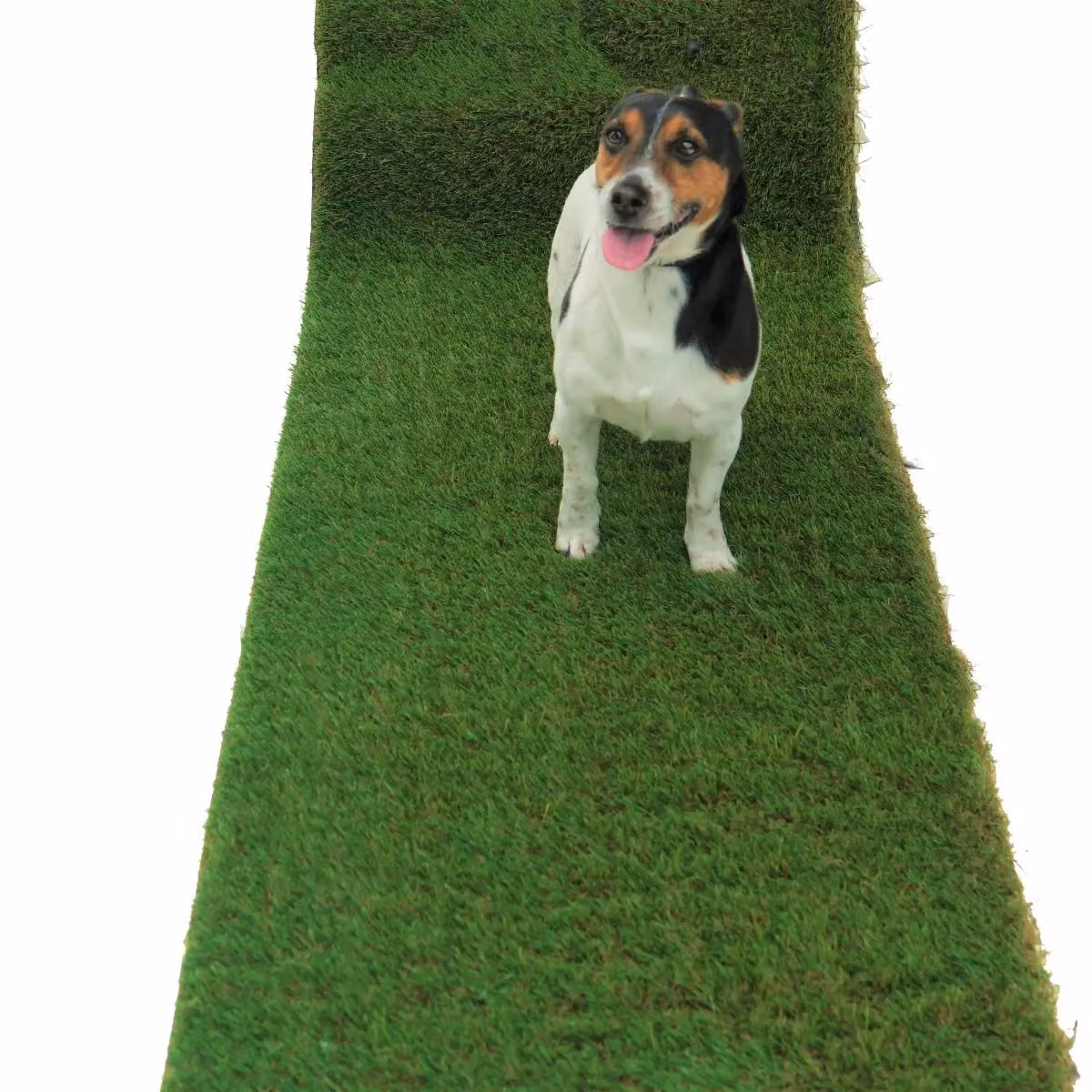 Artificial Grass GB Emerald 40mm Artificial Grass, Green, W: 400 cm, D: 800 cm – 5