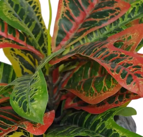 LeafUK Multicoloured Artificial Codiaeum Potted Tabletop House Plant – 2