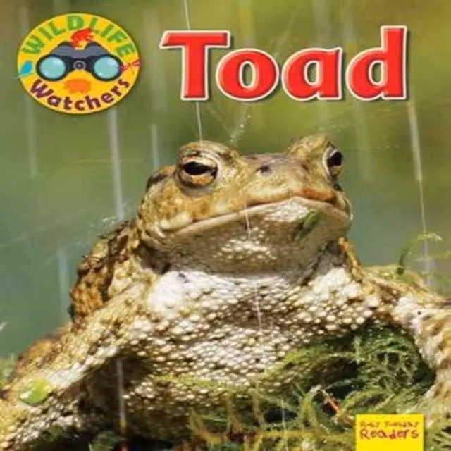 Ruth Owen Wildlife Watchers: Toad Paperback Book, Multicolour