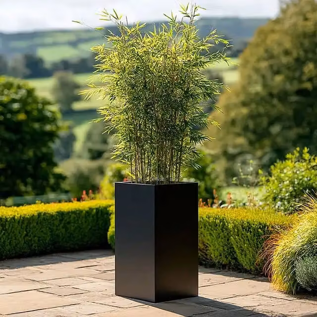 Access Garden Products Matte Black Tall Square Galvanised Steel Planter Tub, Height: 75 cm
