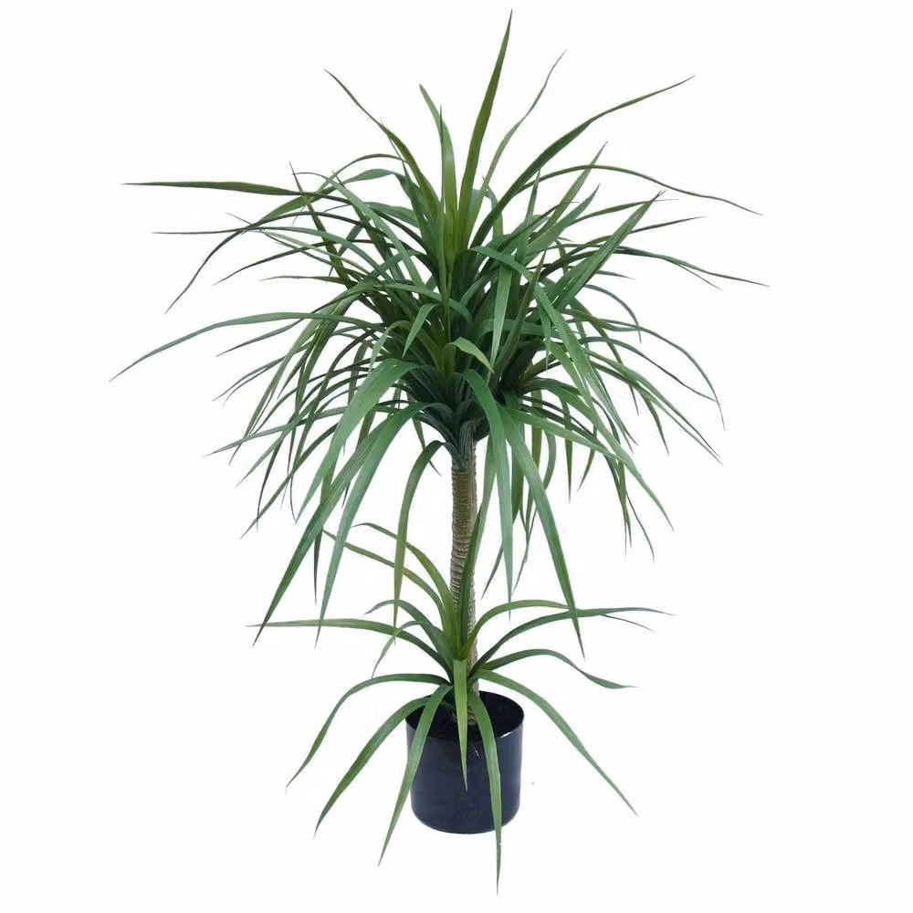 Leaf Premium Artificial Double Dracaena Plant in Green, Height: 90 cm – 3