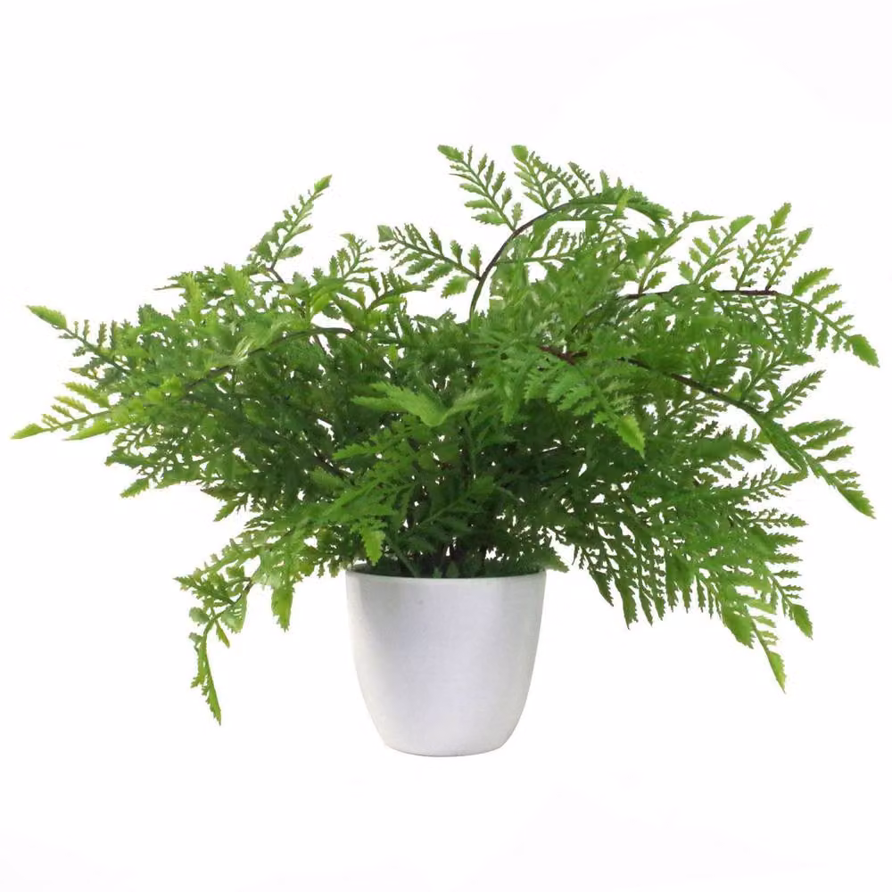 Leaf Design Green Artificial Potted Southern Wood Fern, Height: 40 cm, Width: 30 cm – 2