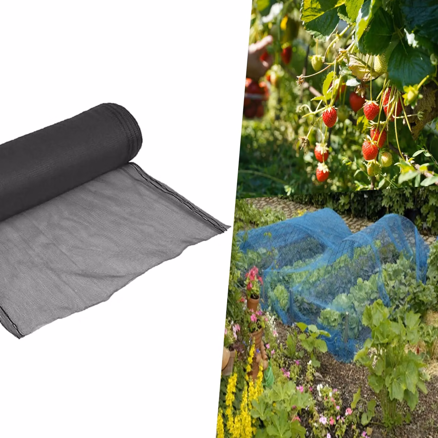Pegdev Black UV-Stabilised Strawberry Netting for Fruit Plants and Vegetable Gardens, 24m – 3