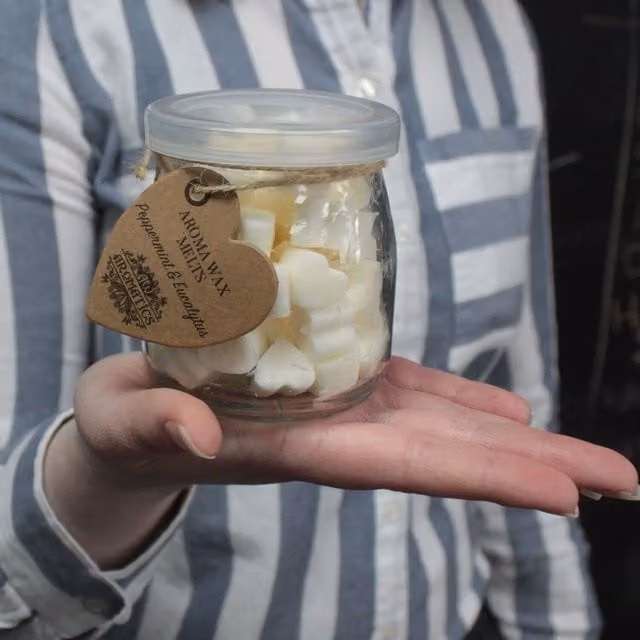KDMK Nutmeg and Lemon Aroma Wax Melts, Spicy and Fresh Scent, Yellow and White