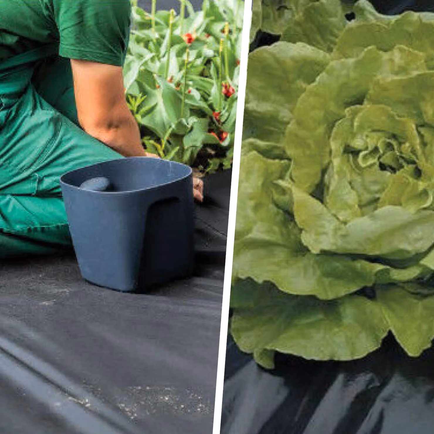 Pegdev Black Heavy Duty Polythene Plastic Sheeting, W: 1 m, L: 4 m – 3