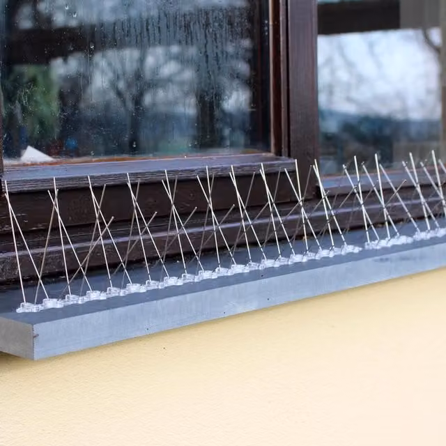Actiaspet Silver Metal Bird Spikes Animal Deterrent made from Stainless Steel and Polycarbonate