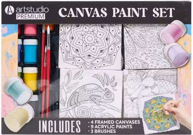 Art Studio Premium 16 Piece Multicolour Canvas Paint Set