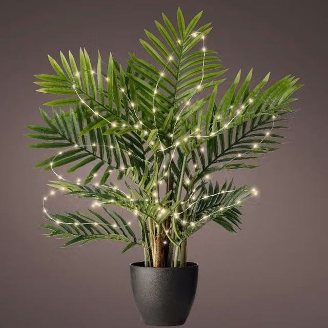 Lumineo Warm White Micro LED Plant Lights with Battery and Stake, 60 LED, 80 cm, Silver