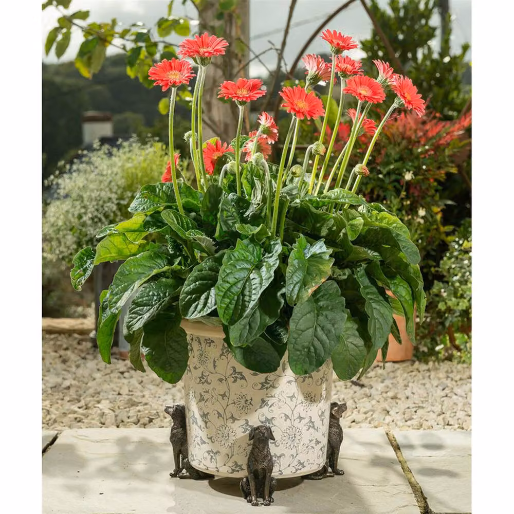 Jardinopia Sitting Labrador Plant Pot Feet, Set of 3, Bronze – 2