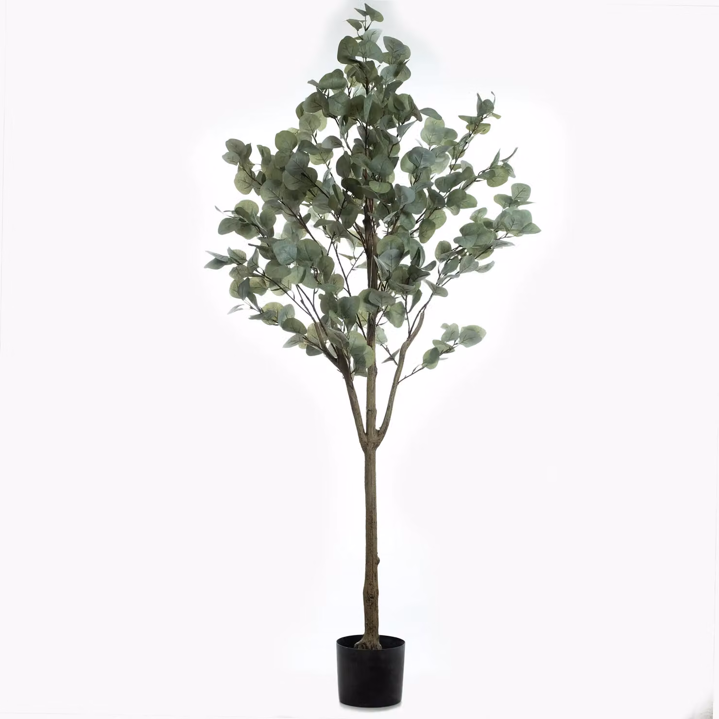 Scottish Everlastings Ltd 150 cm Green Eucalyptus Tree – 2