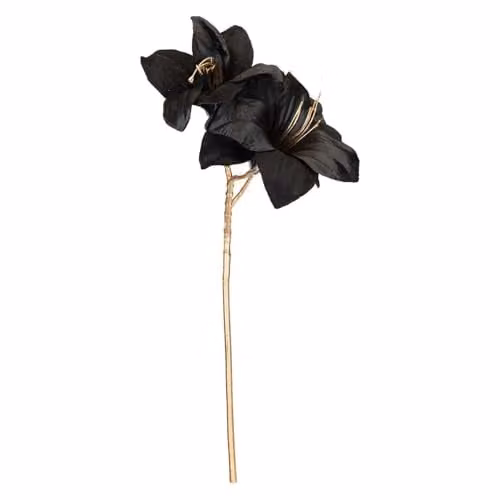 VFM e-Store Black Amaryllis Christmas Spray Decoration, H 56 cm x W 22 cm