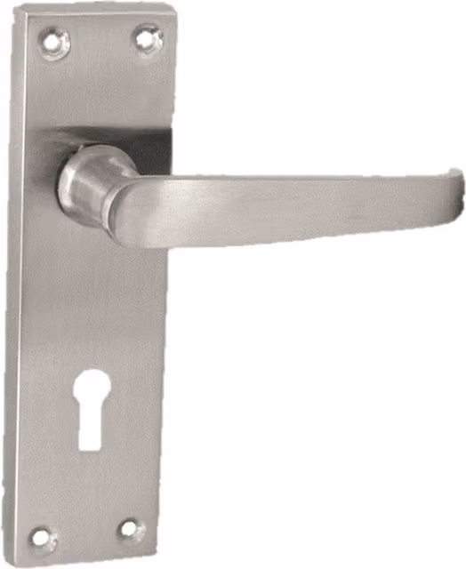 Betley Butterfly Screw Door Handle in Brushed Silver