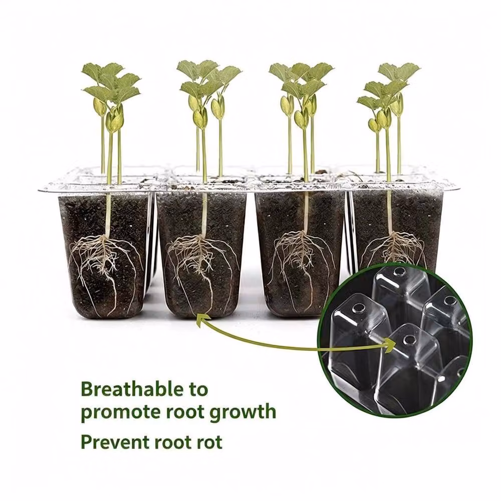 FLAVORA 6-Piece Green 72-Cell Seed Starter Propagator Tray Set – 2