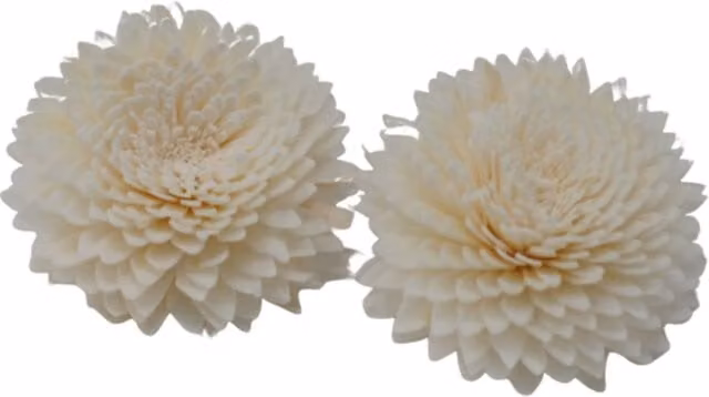 KDMK Natural White Carnation Hanging Reed Diffuser Flowers