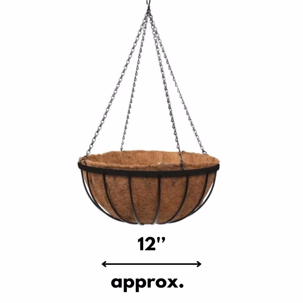 Marco Paul Beige Hanging Basket Planter, Diameter: 30.48 cm – 2