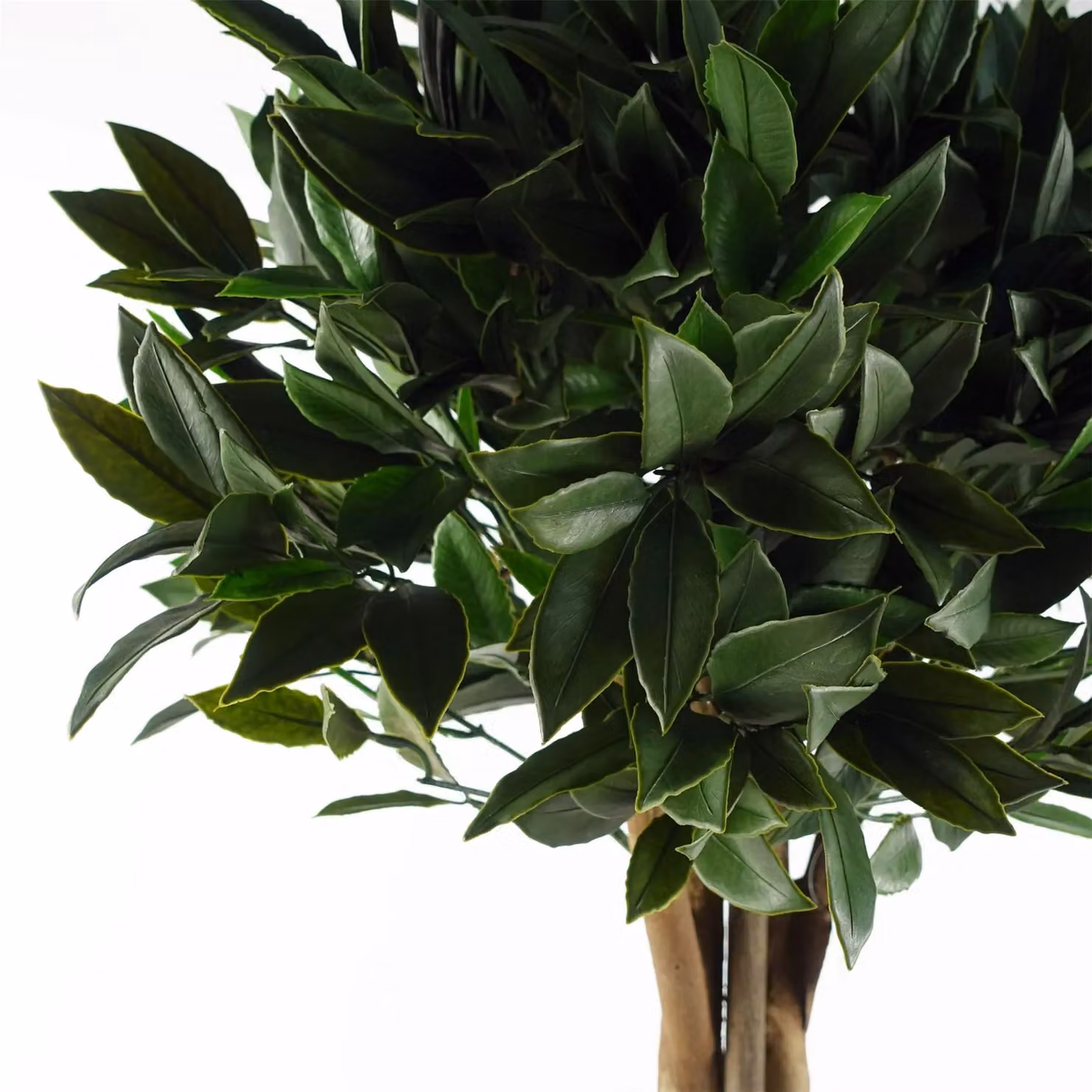 Botanik Green Artificial Bay Laurel Tree, UV Resistant Outdoor Topiary, Height: 120 cm – 2